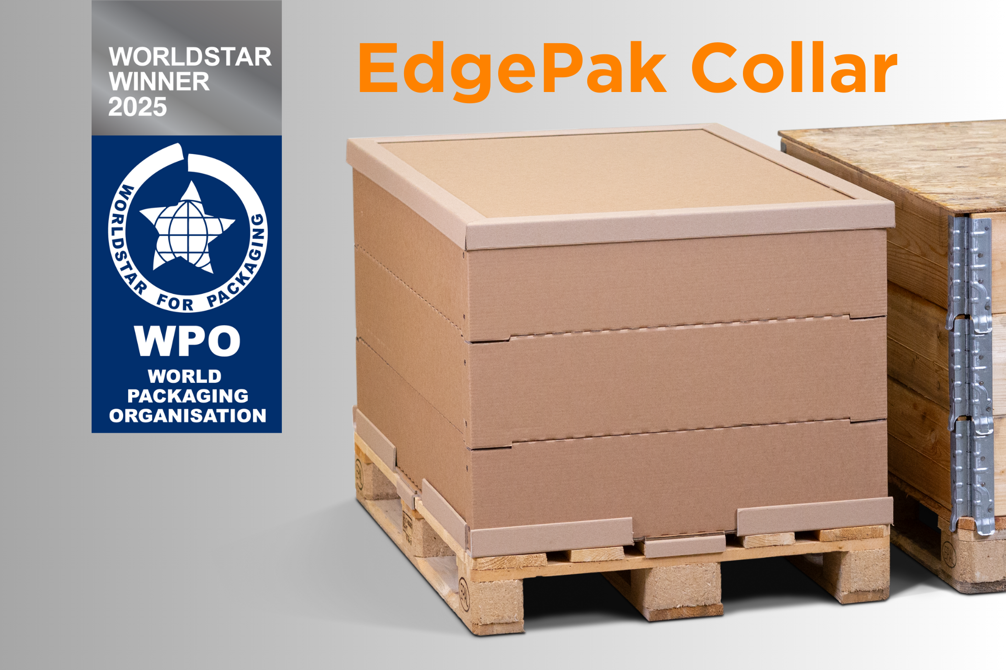 EdgePak collar WorldStar EdgePak collar WorldStar